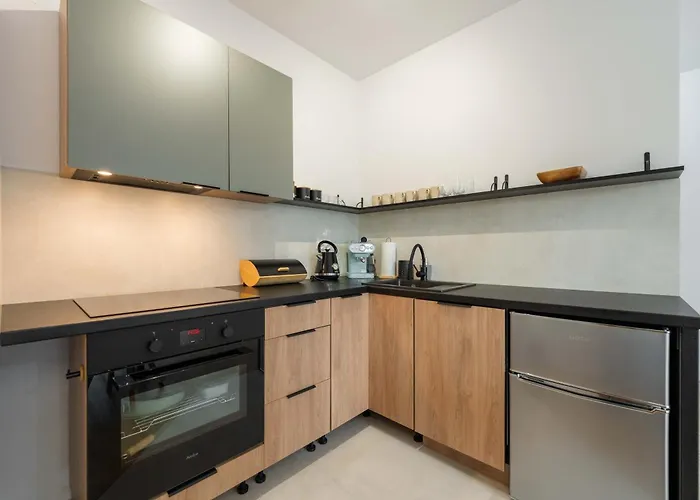 公寓 Dolina Szczescia Pine - Dream