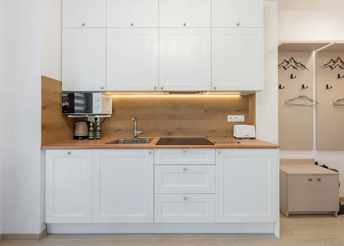 公寓 Dolina Szczescia Pine - Dream *